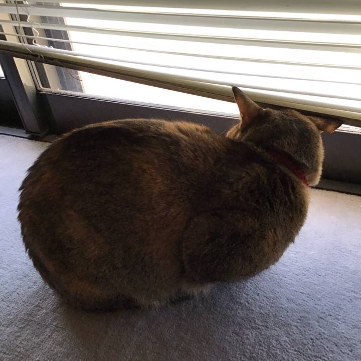 D23d7ffe 3926 4889 96ce 6136f0aa5b31 1585089058421