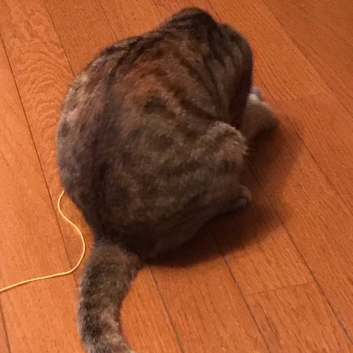 D23ddbbf dce8 474d 9c73 af2374f73d1a 1571055381569