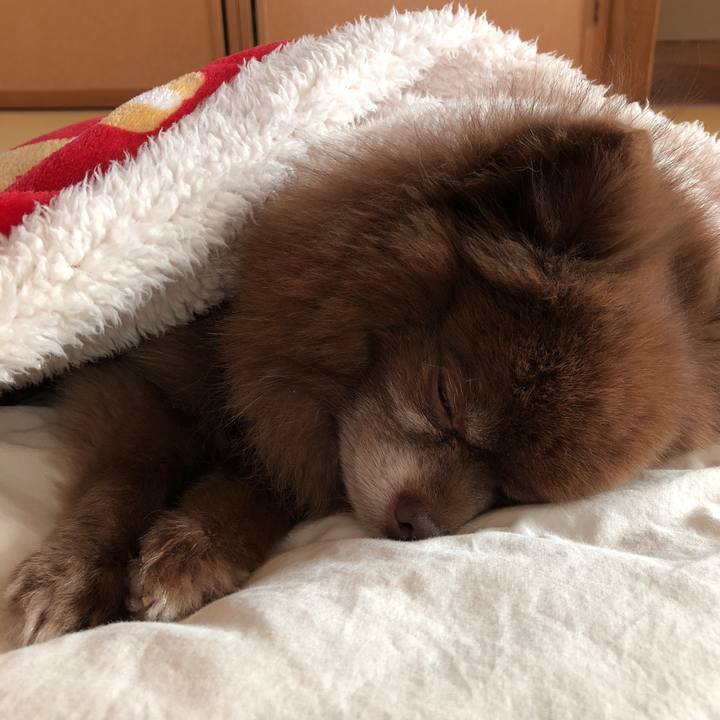 D23decd7 8694 4e85 9b1b 4d17536dc782 1547438237400