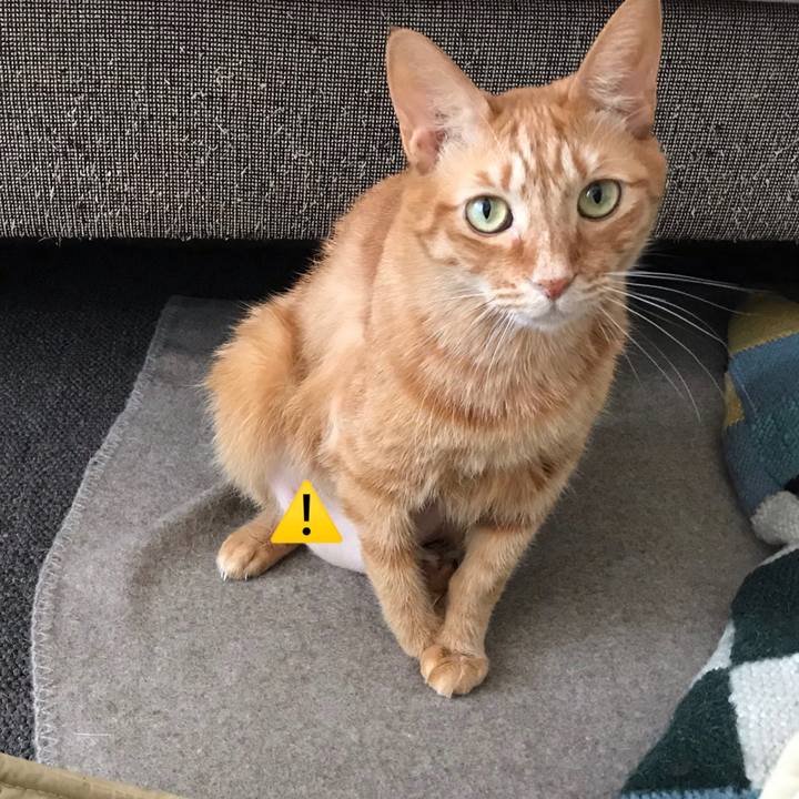 D23df235 6953 4a38 b88e f1acb9144cd7 1550386747438