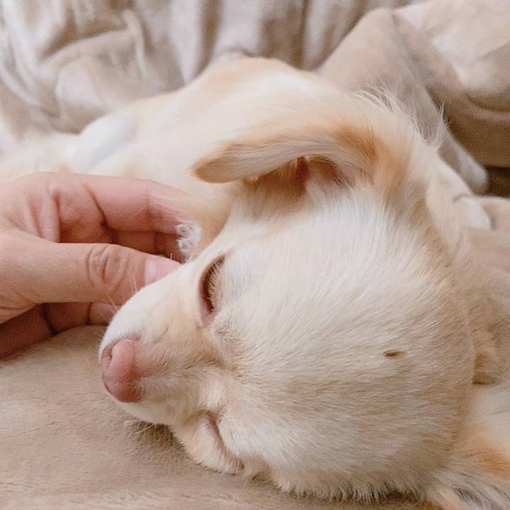 D23e196c f565 4dbd 81c0 03f9d9a6849d 1614662550160