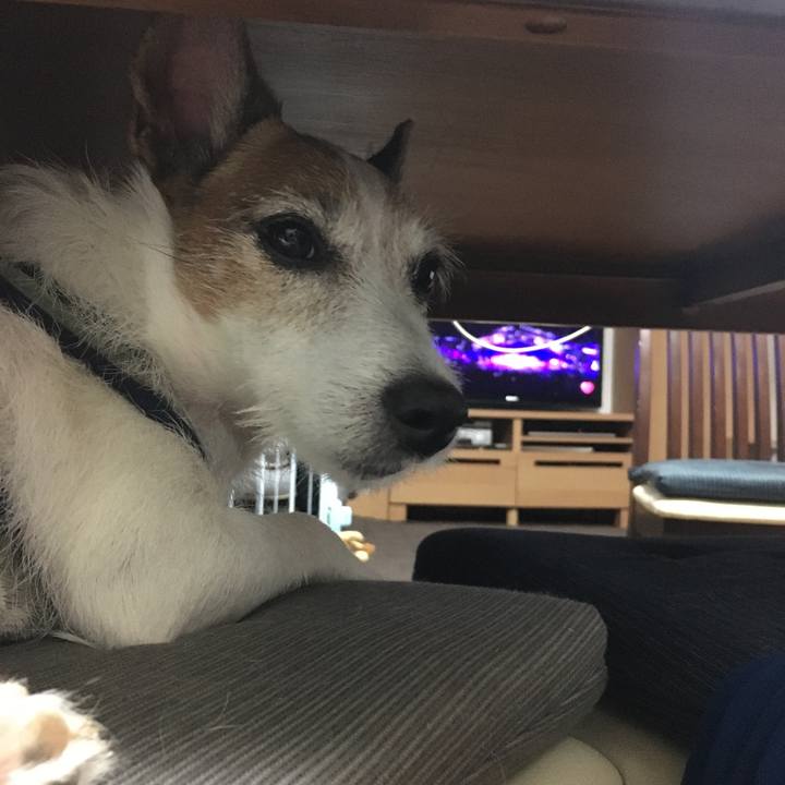 D23e1979 d47f 4d77 b943 27c9e5584897 1665880453272