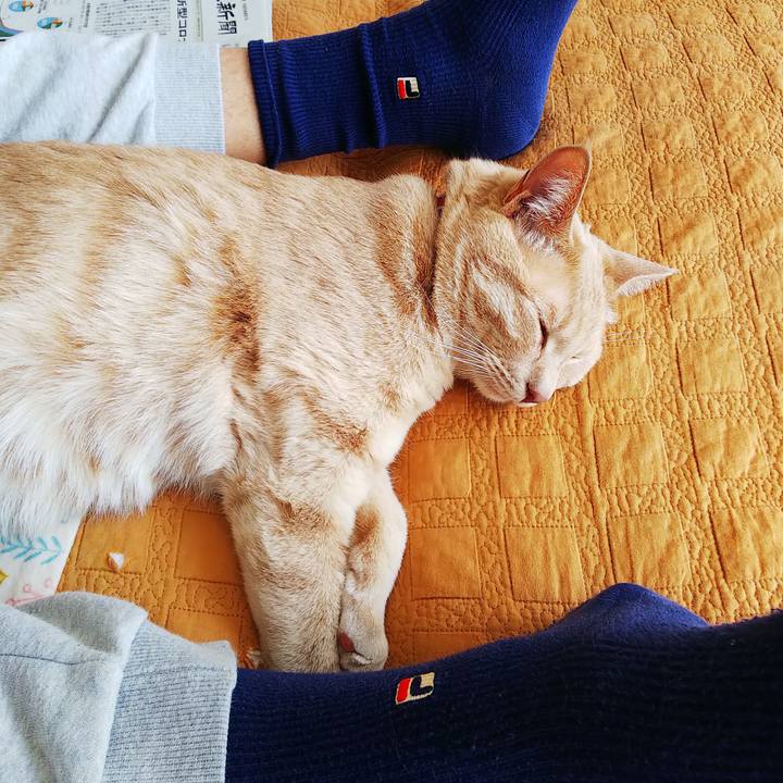 D23e3627 b128 4973 b023 62d3dae9feb5 1587254321969