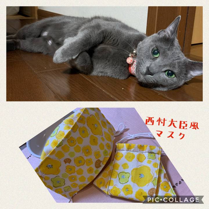 D23e5f8d d5df 4ae0 b57d c0c0191ac170 1589787505806