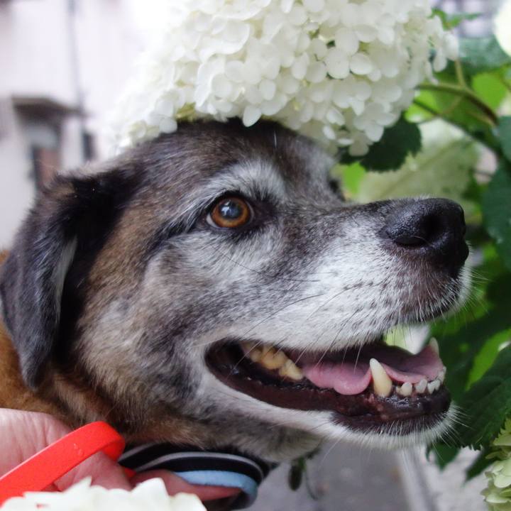 D23ebe48 278c 46ce adbc d0645a9ebebe 1672451677347