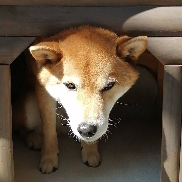 D23ec076 2bd8 4b51 8596 f2d37bf9ac26 1584237207303