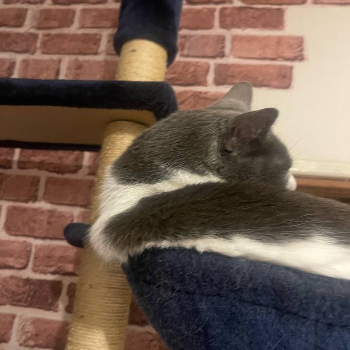 D23ecdd3 9f94 4726 b66e eb572de0856b 1685611505605