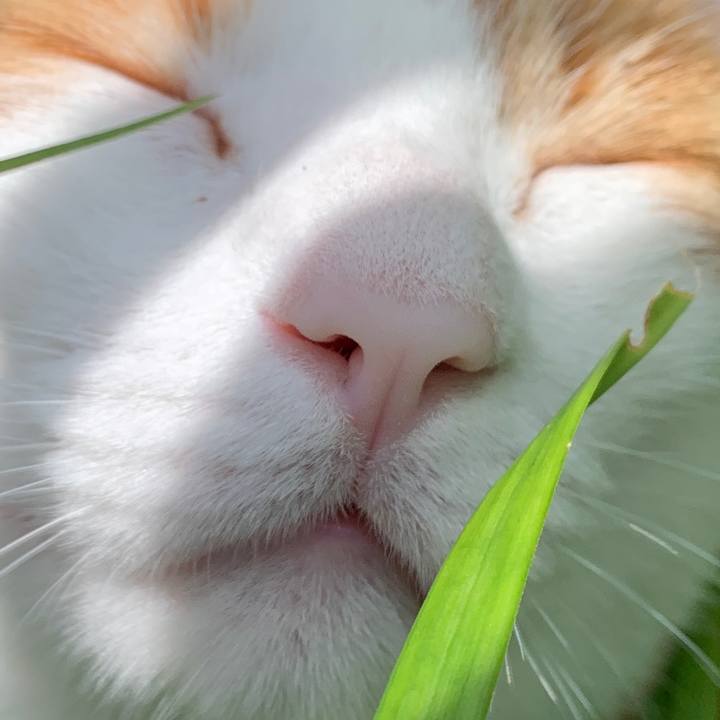 D23f0266 e0a7 4b43 aba4 5d07ae7ee3af 1624619354000