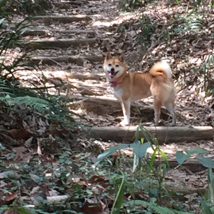 D23f0aad ff4f 46c7 871f 657ba7fa3ba0 1522478972731