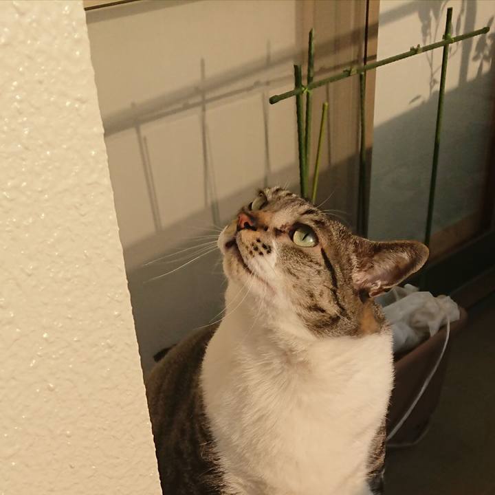 D23f2608 6fcc 4a49 802b fb0090f1e2e8 1521242500483