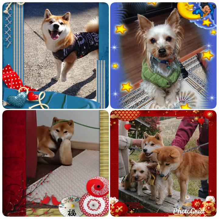 D23f2aeb bb53 4f88 b8b2 4cbb7507177a 1577790220859