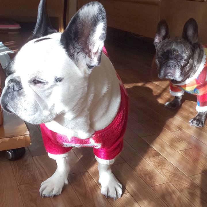 D23f3418 986c 40bb af58 d401bbd2c592 1675782782999