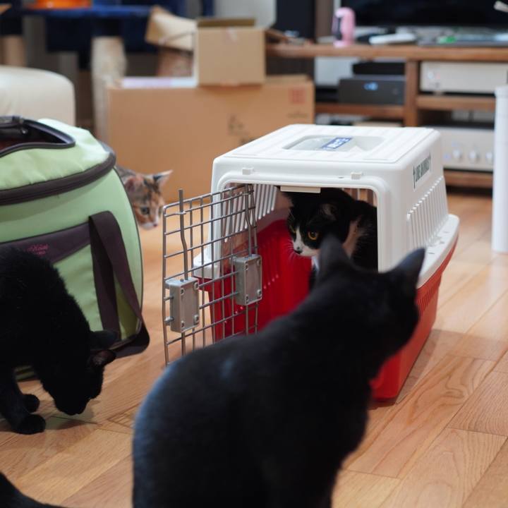 D23f4175 f5f4 4190 93b3 bbaf2f129e66 1631324241068