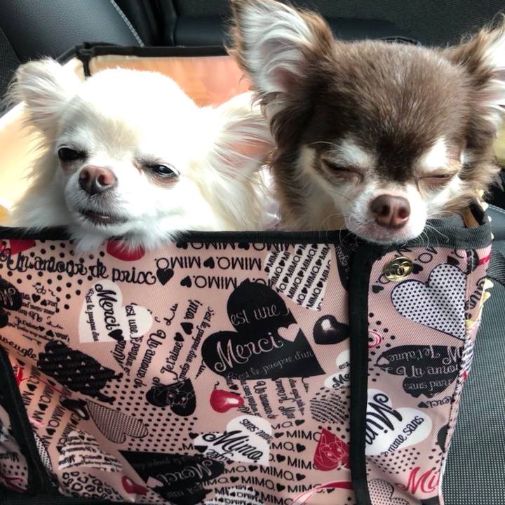 D23f54ae 7cc9 4d56 b328 9885045c4228 1536635662925