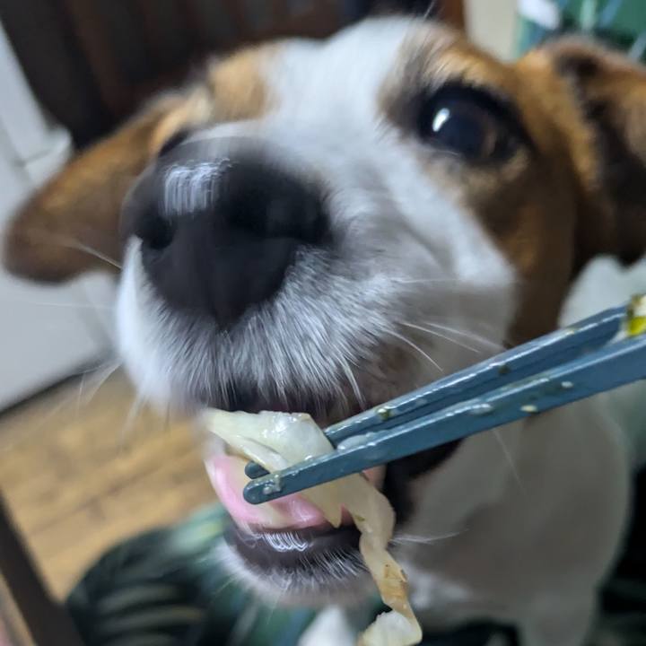 D23f631e 8884 46b4 8598 abd5318fbc4a 1726474890957