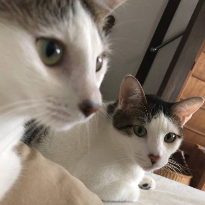 D23fb721 c7ec 4e39 af82 09199da8a282 1537576410539