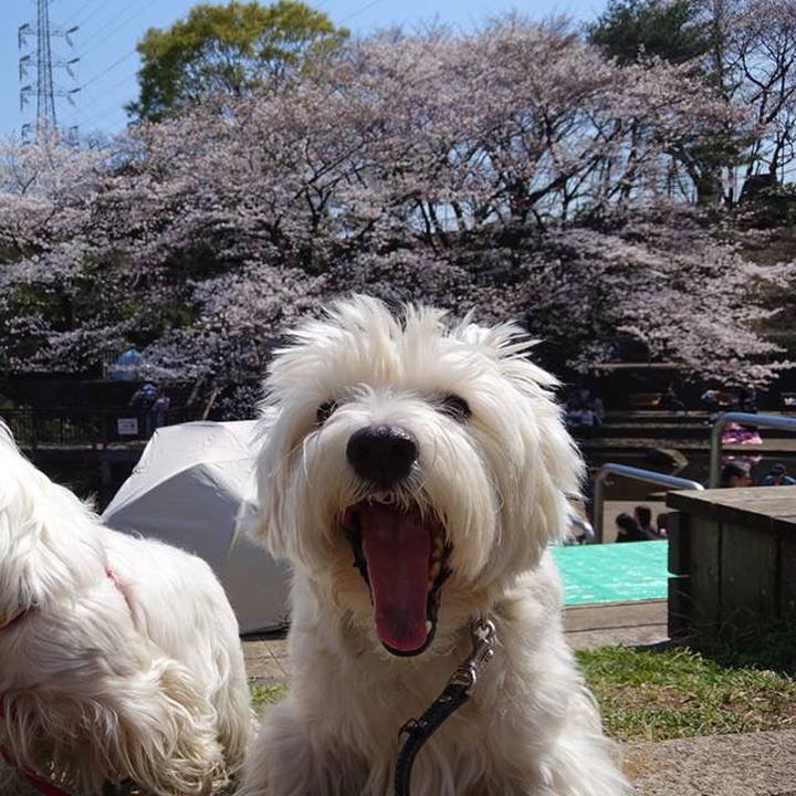 D23fe284 ec6d 4838 bb4e 892da7655dd4 1522070699368