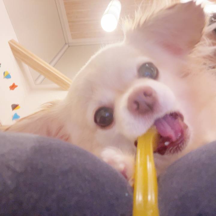 D2402d2e bf76 4d27 a0ce 3d2ef7e59af2 1741820628424