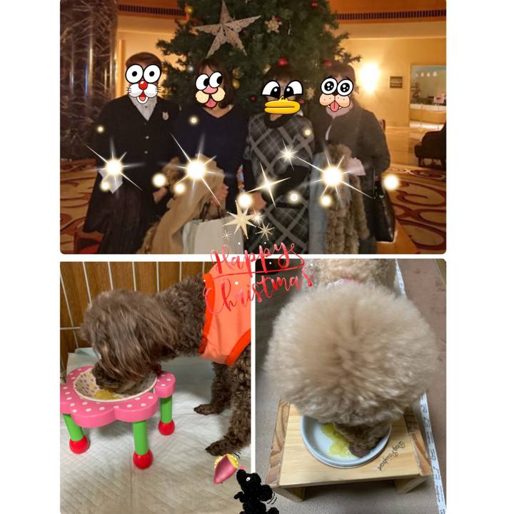 D2405182 67f9 4c64 bc26 e096700d15ec 1575789571082