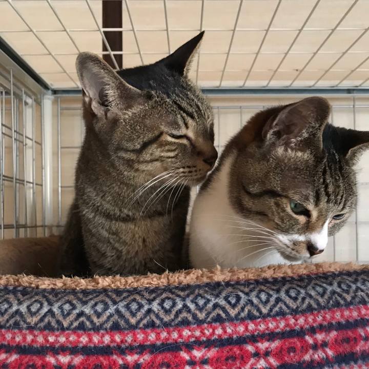 D240708f 719d 46ed 8389 684a64743c3b 1516410202307