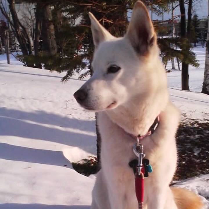 D240724d 66d9 4a44 b65f 7930dbc982f1 1513862177652