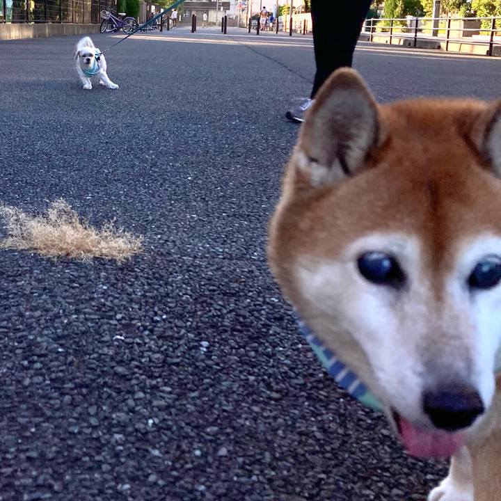 D240868b 6ba0 470b 8213 608081176c01 1726303015314