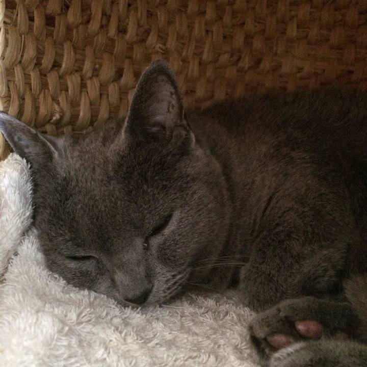 D240a3b5 0e70 4083 acd6 9034a020651a 1527806342195