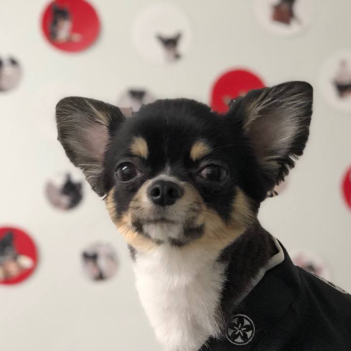 D240ca92 b653 44e8 8b67 69eb711335db 1529503103541