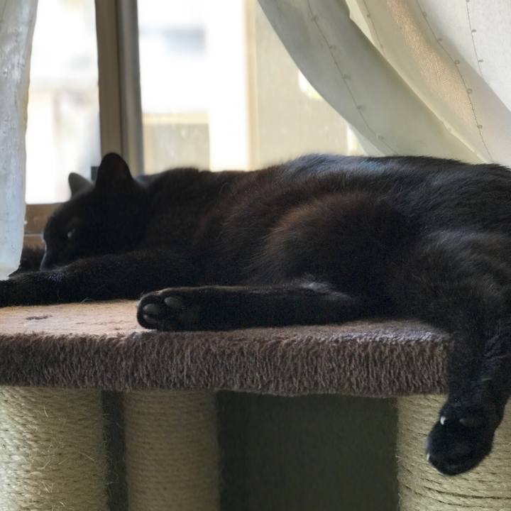 D24104a4 2bf4 4af3 b322 864b28afc524 1527126724578