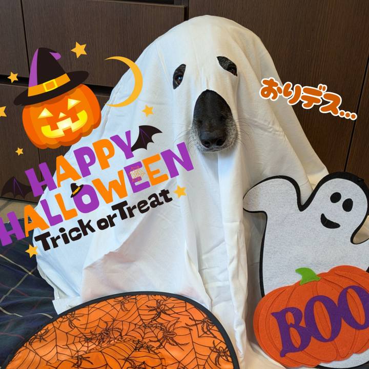 D24118de 7f32 4a2c bb1f 6a6c0e591c6e 1761839111220