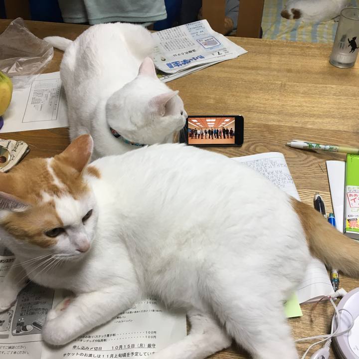 D241207e e925 4cfc 91f0 1800808ea5d6 1539090076056