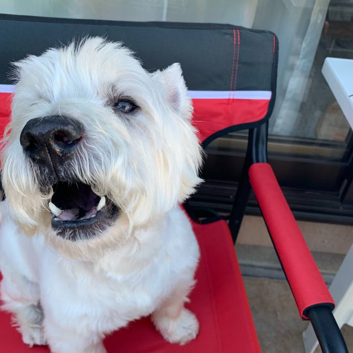 D2412d5d 9a74 4c16 a896 9d4f1852773c 1624233177461