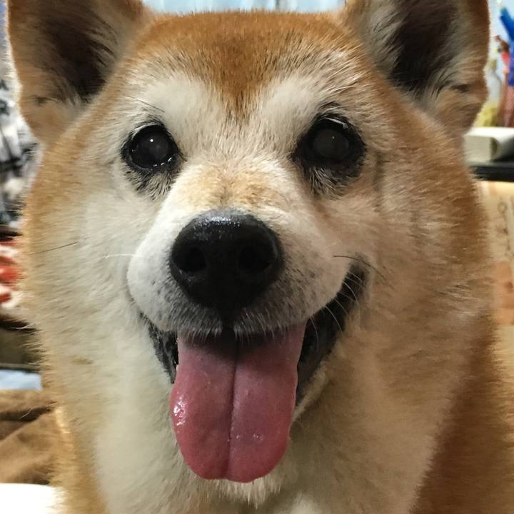 D24139bb 76e5 47f8 9fa6 4e8c45e093e3 1524568063524