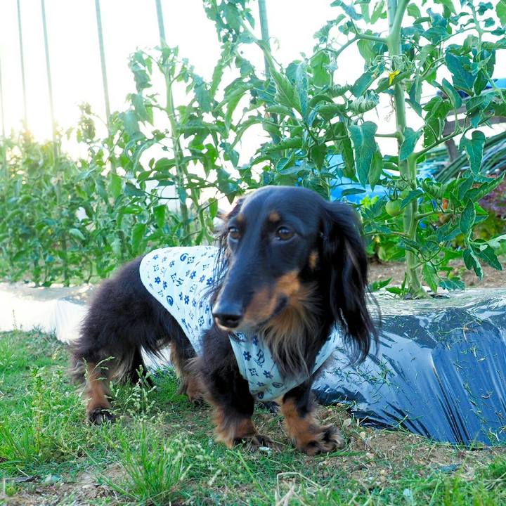 D2417df9 c0a7 47dd 87a6 3bbcd1380922 1558920383979