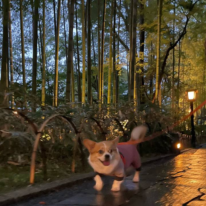 D241ab7d 3654 42ec b92f 0d54d1c7d712 1696887042393