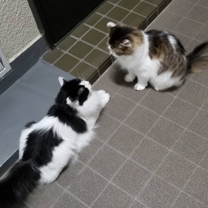 D241c917 c060 46bc 8336 7239595359bc 1566083692214