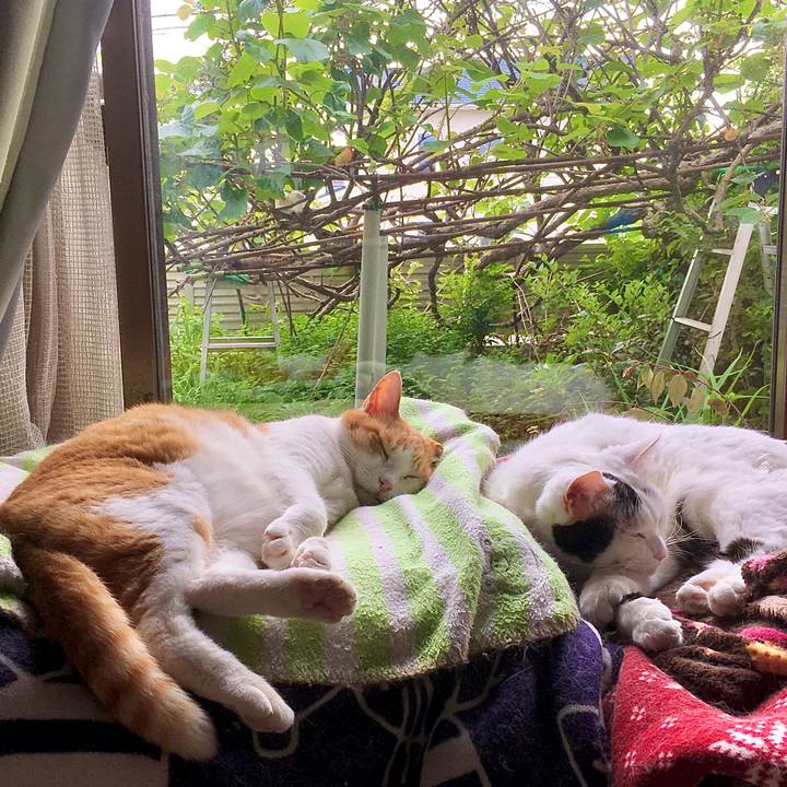 D241ebd9 d672 4125 88ae 452aef1dea4b 1621463306685