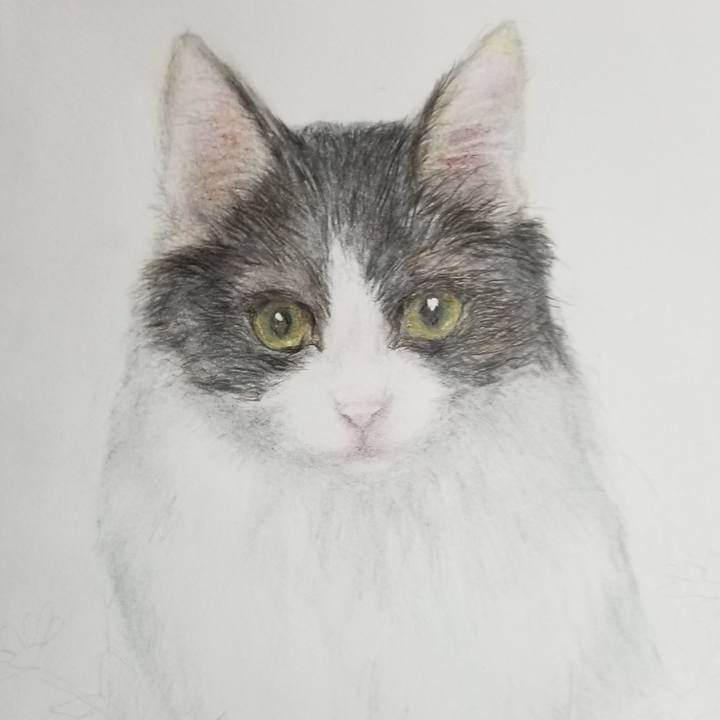 D2422935 596c 47be b01a 44bf783da763 1596150061386