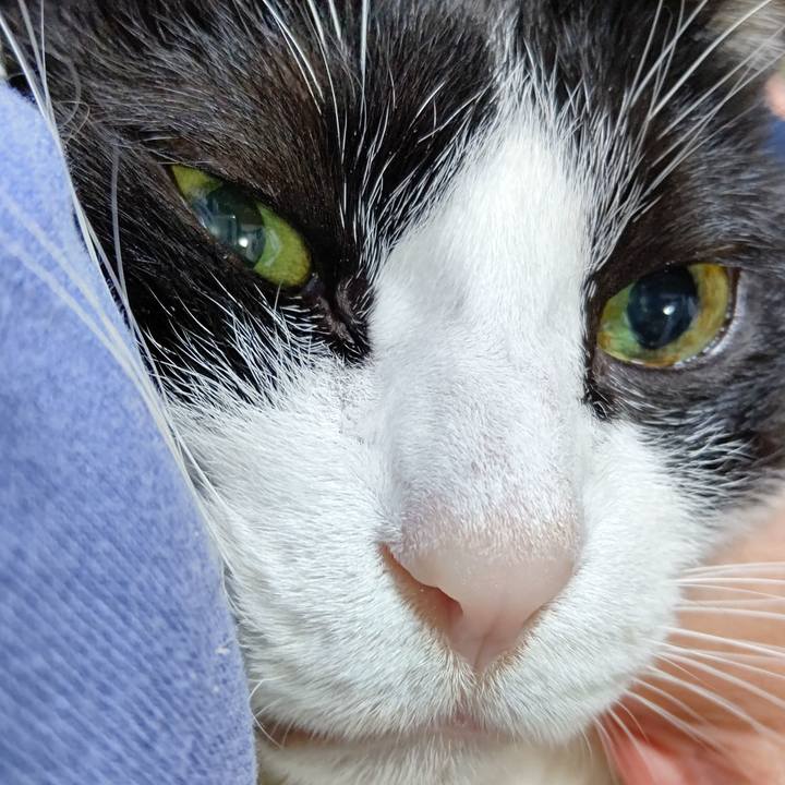 D24231cd aa26 49d3 bbb2 f718da4aee89 1607854339447