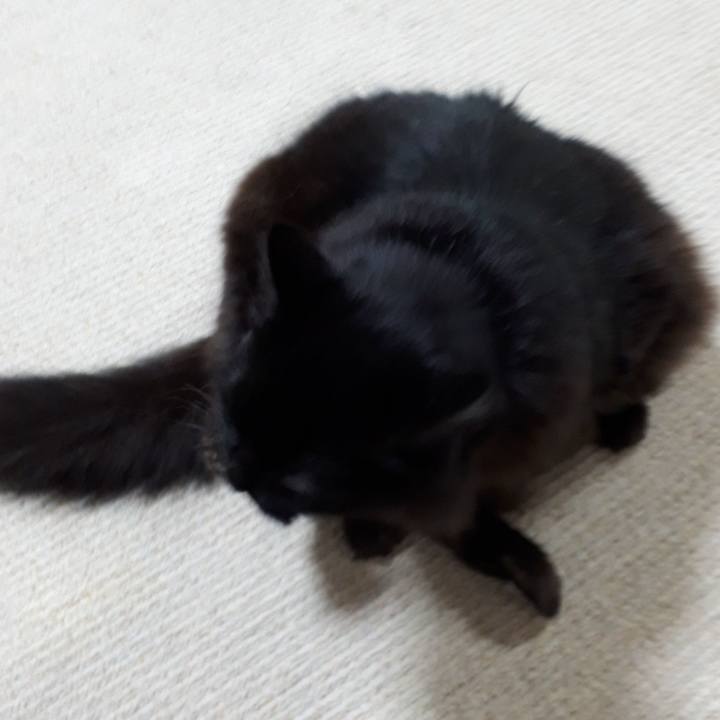 D2424cde 74d8 48ce a9e3 eb7c5c90ce8f 1517776676443