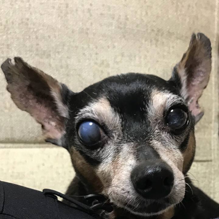 D2425a82 6441 4d09 a8ac 8f9e7d4793ac 1565101291452