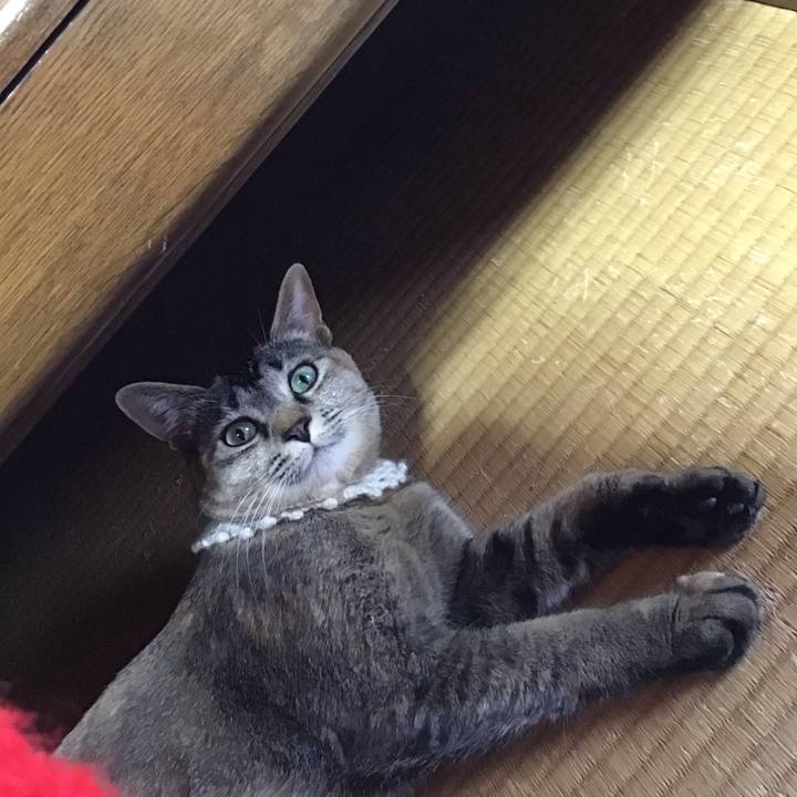 D242614d 3069 4081 a25a 59c65fe27878 1589602008056