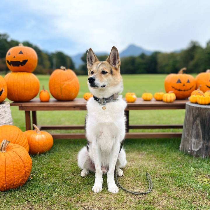 D24265ce 1ce6 46a0 9de1 91754460a4ce 1759457907116