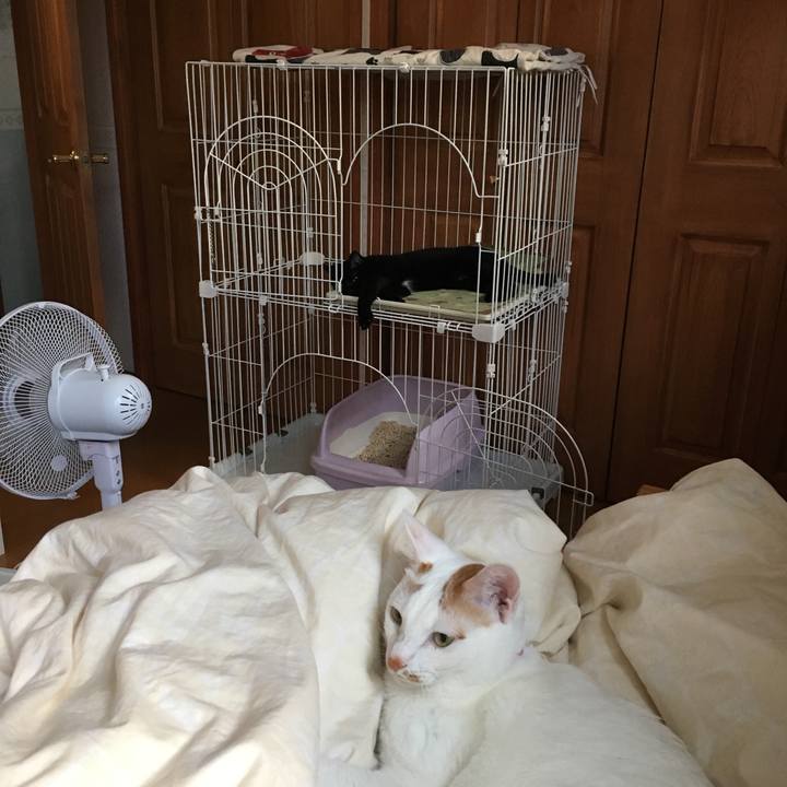 D242919f 3284 44f5 9fe3 d863b20b55da 1530532033951