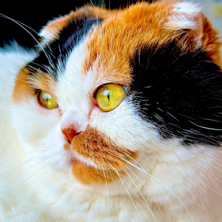 D24297b1 8f94 4fc0 8997 fc2f4838e546 1670992361111