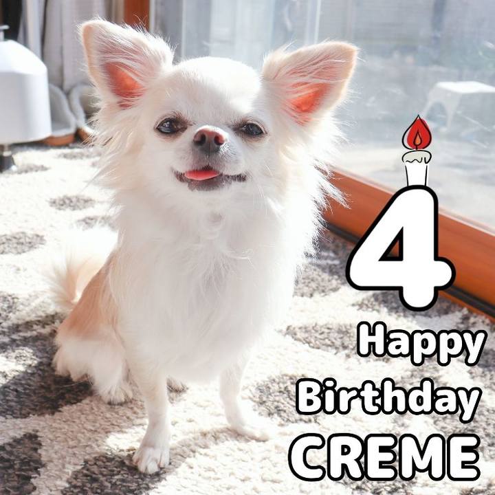 D242a18d 1181 4c7f 811f 7f9db8887450 1707957532361