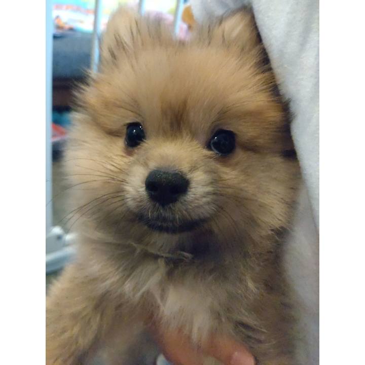 D242a577 4fe2 4b8a b9ac 3c3a844ff30c 1721439672550