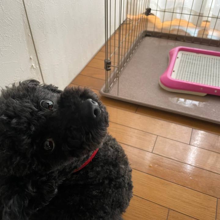 D242fac0 1f7d 4bdd 8880 a0c9b546a006 1648475941756