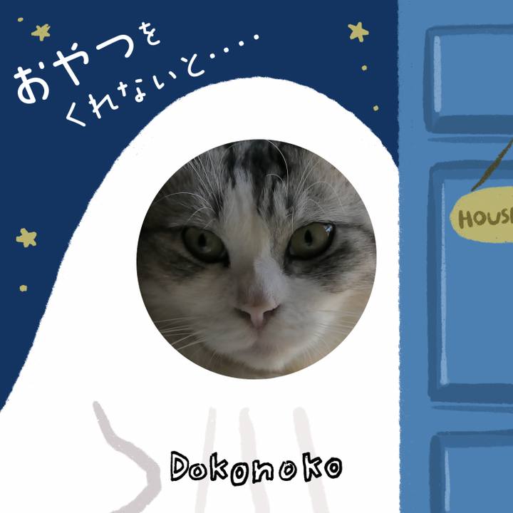D243351a 6d07 4e1f be5e 2792b61c873a 1729667502571