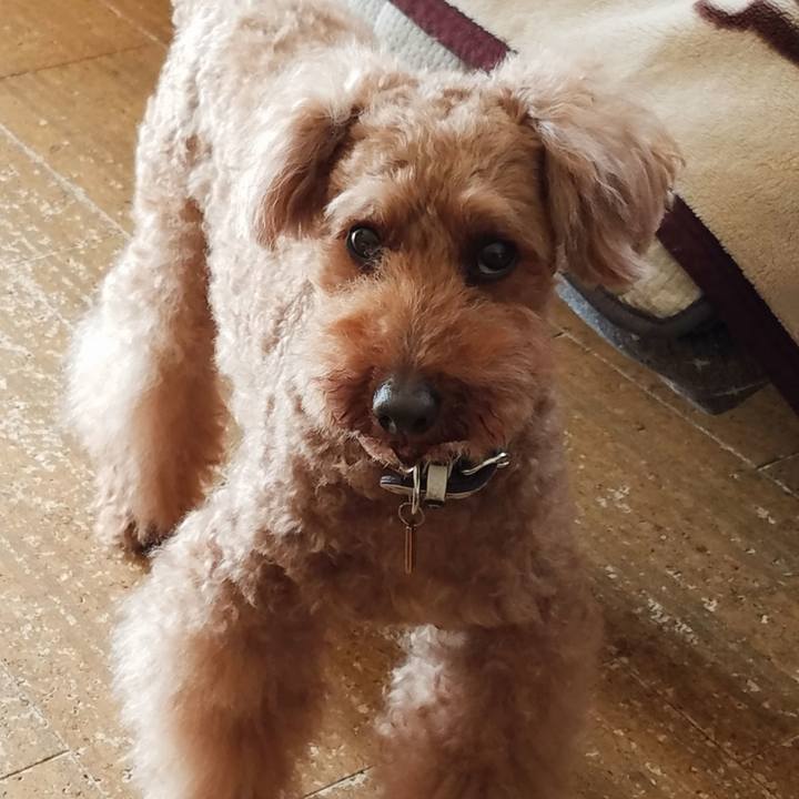 D243535f 8081 4a69 ad4f 1f8af662cc69 1556848762460